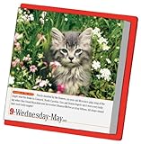 Image de 365 Cats Page-a-Day 2012 Calendar