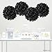 Andaz Press Large Tissue Paper Pom Poms Hanging Decorations, Black, 14-inch, 4-Pack, Graduation, Halloween Decor Colored Birthday Party Supplies