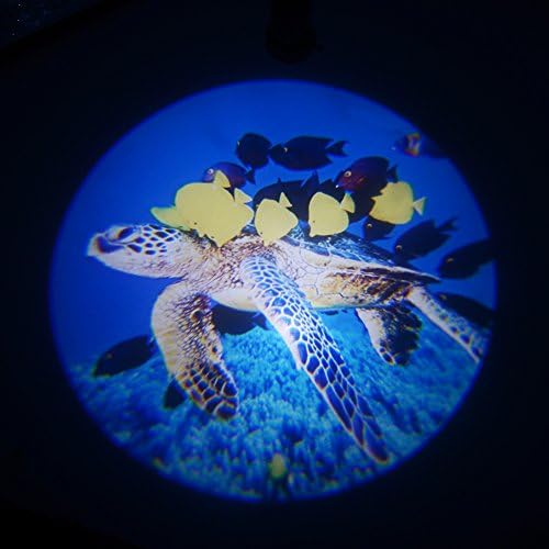 Ocean Sea Turtle Logo Slides