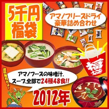 Amazon 福袋 12年 アマノフーズフリーズドライ詰め合わせ24種48食セット みそ汁 スープ 送料無料 沖縄 北海道は送料500円かかります Earthink スープ 味噌汁 通販