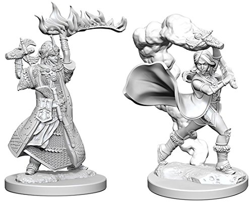 Pathfinder: Deep Cuts Unpainted Miniatures: Human Female Cleric