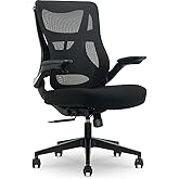 Living Style Beauty Rest ErgoMax Ergonomic Mesh Swivel Task Chair, Black