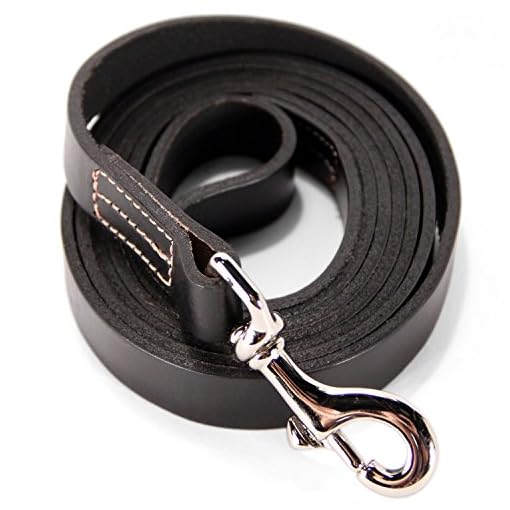 logical leather dog leash