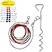 Lylyzoo Dog Tie Out Cable 16ft and Spiral Stake, with Anti-Winding Metal Ring and 2 Clasps, for Yard, Camping and Outdoors, Bowknot Tie as Gift, Small to Medium Pets Up to 40lb