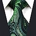 S&W SHLAX&WING Neck Tie Sets for Men Matching Necktie Dark Green Paisley Extra Long Size 63