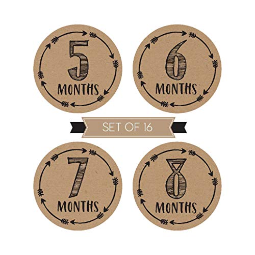 3 Milestone+Stickers+Monthly+Scrapbook+Registry