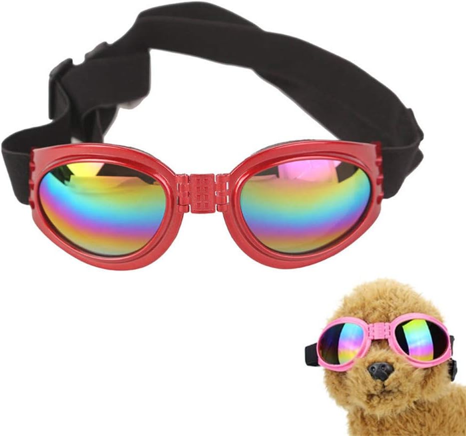 red dog sunglasses