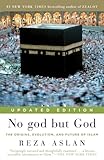 Book cover for No god but God: The Origins, Evolution, and Future of Islam