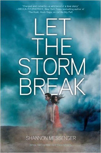 Let the Storm Break (Sky Fall) (Hardback) - Common
