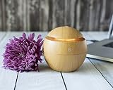 Essential Oil Diffuser and Humidifier USB with LED Lights