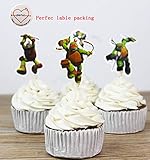 Teenage Mutant Ninja Turtles Themed Cupcake Toppers Party Pack for 24 Cupcakes
