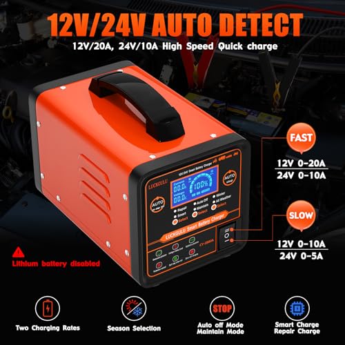Caricabatterie Auto 12V/24V 20A Professionale, Caricatore e Mantenitore Automatico con Modalità Riparazione, Programma Invernale, Arresto Automatico,Ricarica Rapida per Auto,Camion,Moto,Camper