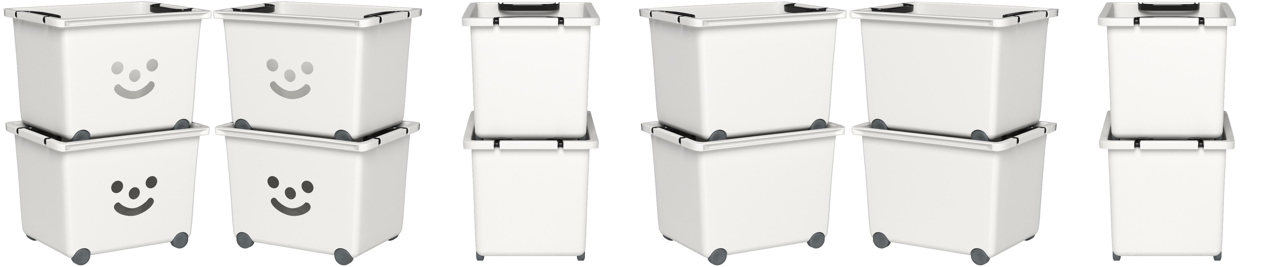 Iris Ohyama, lote de 2 cajas grandes de almacenamiento de ...