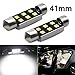 CIIHON 41MM 42MM LED Festoon Bulb 1.72