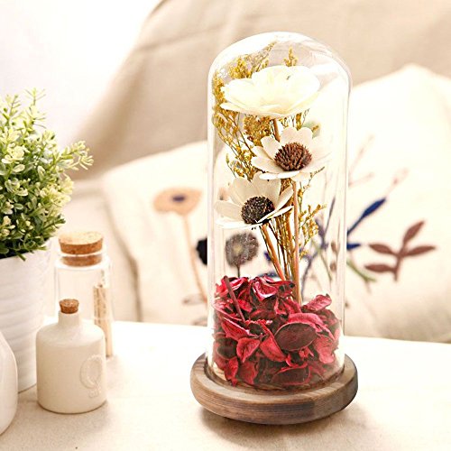 Reelva Decorative Clear Glass Cloche Bell Jar Display Case (D9cmH25cm)