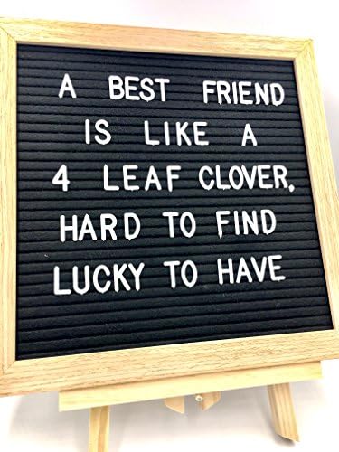 Black Felt Changeable Letter Board 10 x 10 inch | Wooden Stand, Canvas Travel Bag, 290 Letters, Characters, Numbers, and Punctuations | Wall Mounting Hook | Wooden Frame