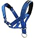 Dog Head Collar Halter Blue 5 Sizes (M: 8.25