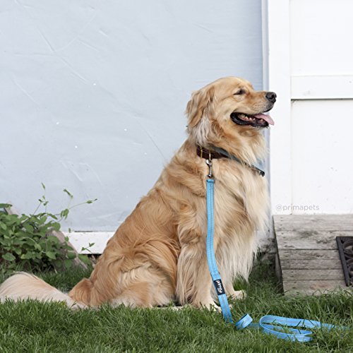 image for Prima Pets Reflective 4 Feet Nylon Dog Leash with Padded Double Handle