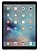 Apple iPad Pro (32GB, Wi-Fi + Cellular, Gray) 9.7in Tablet (Renewed)