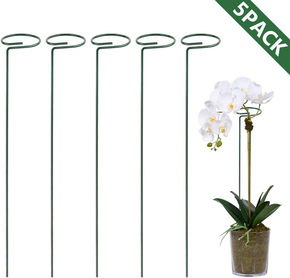Tingyuan 5 Pack Plant Support Stakes Garden Flower Support Steel Single Stem Support for Orchid Rose Tomatoes, 15.8 Inches Each Long