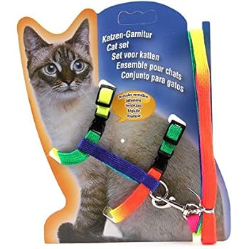 collar antiescape gatos