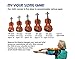 eMedia My Violin Starter Pack, 1/2 size [Old Version]