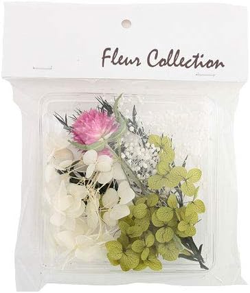 Amazon そらプリ フルールコレクション ハーバリウム キット 花材セット ライトグリーン プリザーブドフラワー オンライン通販
