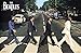The Beatles (Abbey Road) Music Poster Print - 36x24