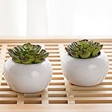 Set of 2 Small Round White Ceramic Modern Succulent Planter Pots - 3.5 Inch MyGift Home Decor