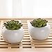 Set of 2 Small Round White Ceramic Modern Succulent Planter Pots - 3.5 Inch MyGift Home Decor