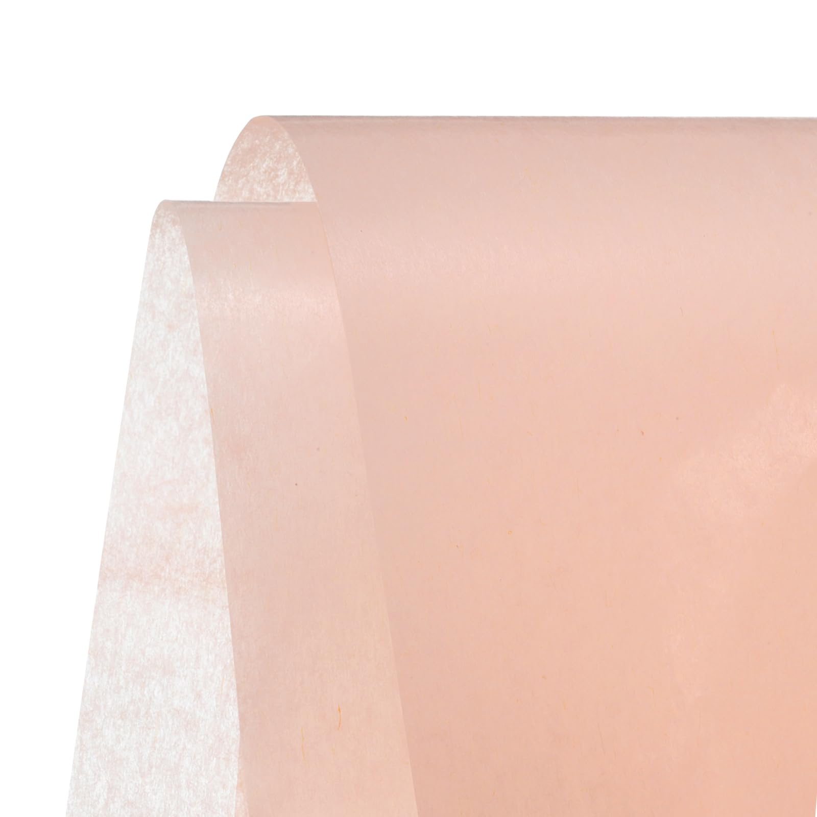 uxcell Tissue Gift Wrapping Paper Tissue Paper Light Champagne 19.69x27.56 Inch for Florist Bouquet Supplies, DIY Crafts Decoration, Gift/Gift Box Packaging Pack of 100