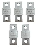 South Bend Components 250A Class T Fast Blow Fuse