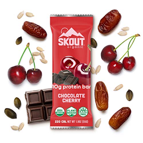 SKOUT Organic Protein Bars - Chocolate Cherry - Vegan Snacks - Plant Based Protein - Non-GMO - Gluten Free, Dairy Free, Soy Free - No Refined Sugar - 1.9 oz (4 Count)