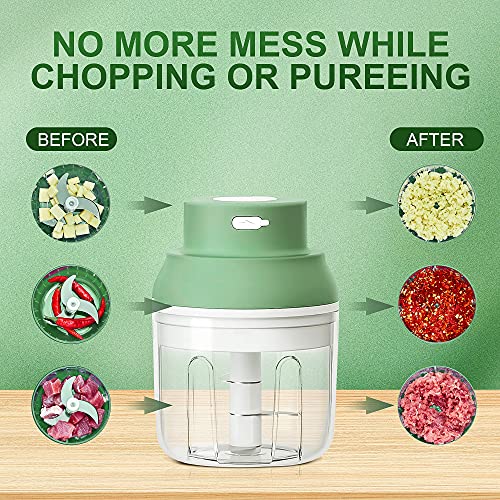 Luium Electric Garlic Chopper Mincer, Portable Onion Chopper Electric