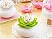 Peicees Lotus Cotton Swab Holder Q-tips Toothpicks Storage Organizer Green