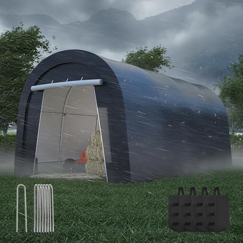 Wisteria Lane 10' x 20' Heavy Duty Carport with 4 Cloth Bags, All-Weather Car C…