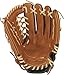 Rawlings P115GBMT-6/0 Prodigy Youth Baseball Glove, Regular, Modified Trap-Eze Web, 11-1/2 Inch