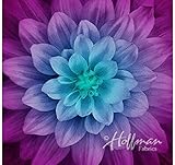 Dream Big~Aurora~Digital Floral Panel 43