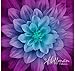 Dream Big~Aurora~Digital Floral Panel 43