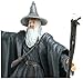 The Lord of the Rings Fellowship of the Rings Gandalf the Grey Action Figure By Toy Biz