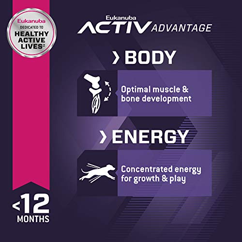 Eukanuba Large Breed Puppy Food - Image 3