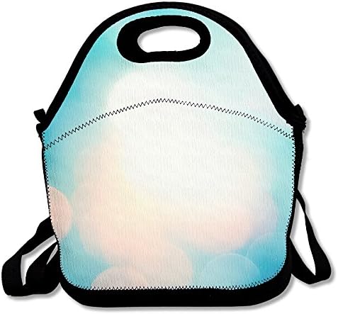 GTSOXI Unique Design Outdoor Travel Picnic Lunch Box Bag Tote - Best Lunch Bags/Lunch Boxes With Zipper And Adjustable Crossbody Strap - Best Travel Bag