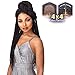 Sensationnel Cloud9 4x4 Braided Wig - Box Braid Small Hand Tied Swiss Multi Parting Lace (1 JETBLACK)