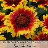 Package of 500 Seeds, Blanket Flower (Gaillardia aristata) Non-GMO Seeds By Seed Needs