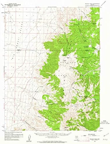 YellowMaps Wildcat Peak NV topo map, 1:62500 Scale, 15 X 15 Minute, Historical, 1960, Updated 1962, 20.8 x 17 in