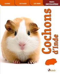 Cochons d'Inde