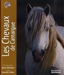 Les  chevaux de Camargue