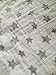 Premium Baby Swaddle Blankets, Softest Natural 100% Cotton Muslin, Large 47 X 47 inch, Lightweight, Breathable, Perfect Baby Shower Registry Gift, Cute Gender Neutral for Boys or Girls (Milk)
