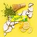 Dang Keto Bar | Lemon Matcha | 12 Pack | Keto Certified, Vegan, Low Carb, Low Sugar, Plant Based, Non GMO, Gluten Free Snacks | 5g Net Carbs, 9g Protein, No Added Sugars