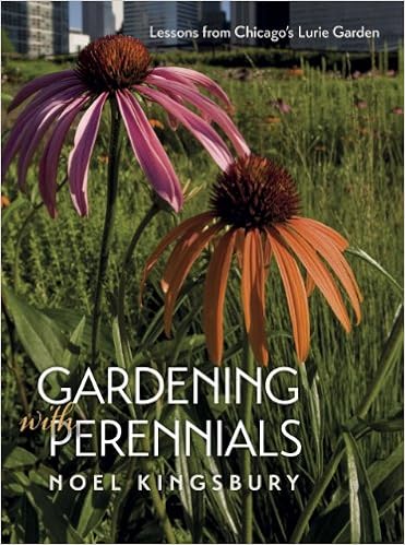 Gardening With Perennials Lessons From Chicago S Lurie Garden Kingsbury Noel 9780226437453 Amazon Com Books